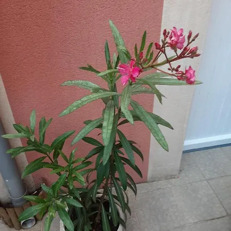 Appartement Maison 100 M2, Terrasse 25 M2, Clim, 3 Chbs Avec Tv, Parking Pierrelatte